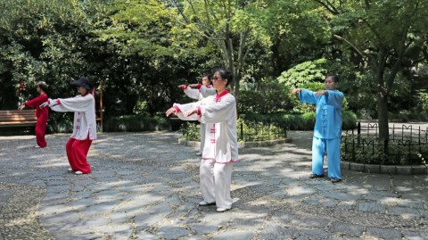 上海长风公园：多元健身热潮涌动，打造全民共享的体育文化新地标